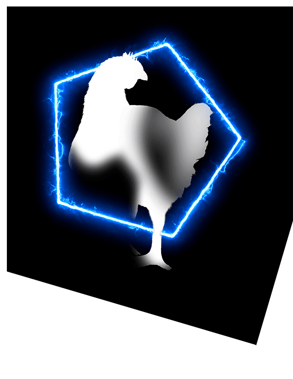 家禽