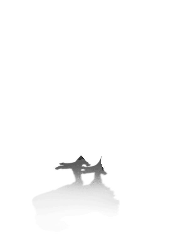 家禽